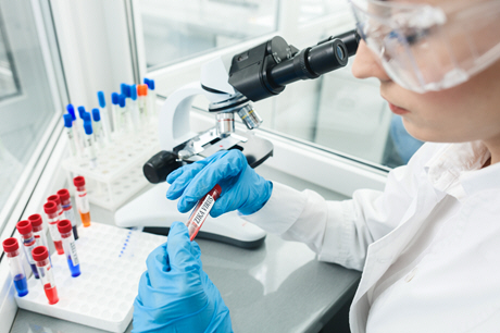 female doctor examines blood sample with microscope