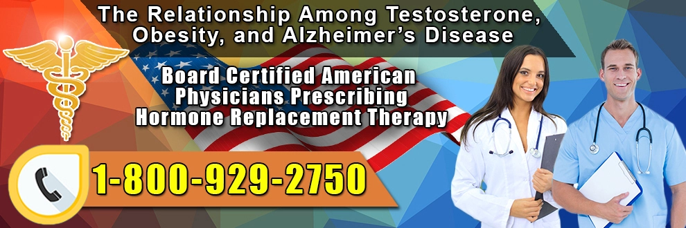 the relationship among testosterone obesity and alzheimers disease