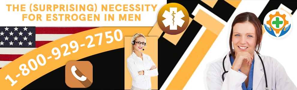 the surprising necessity of estrogen for men header