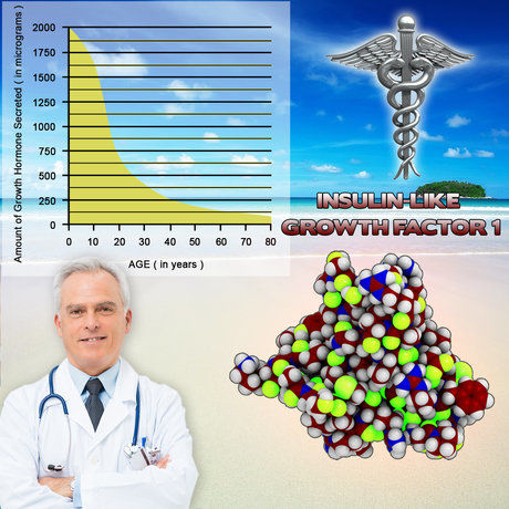 Growth Factor One Igf 1 Decline