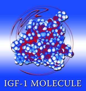 growth hormones igf 1 growth hormones igf 1