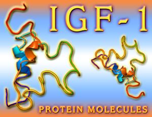 igf 1 buy igf 1 buy