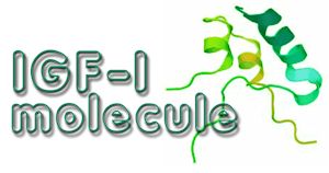 lr 3 igf 1 lr 3 igf 1