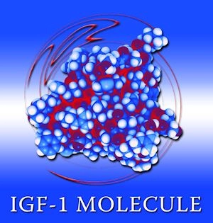 growth hormones igf 1