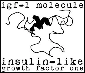 research igf 1 peptides
