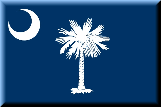 South Carolina state flag, medical clinics