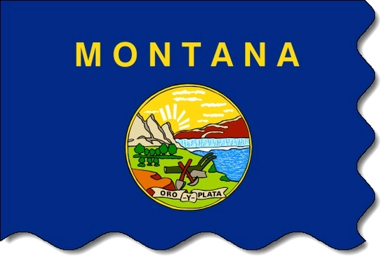 Montana state flag, medical clinics