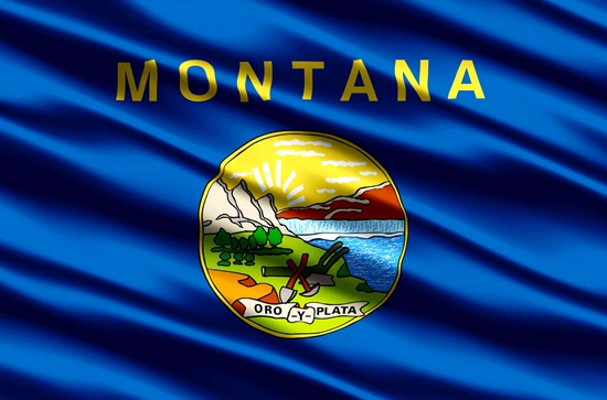 Montana state flag, medical clinics