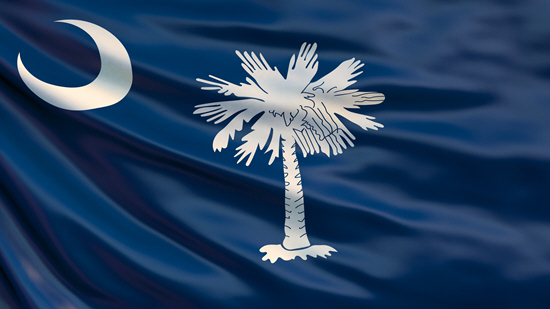 South Carolina flag clinic image