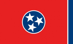 tennessee state flag sermorelin medical clinics 300x180