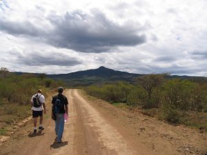 walking to live longer 300x225