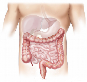 testosterone therapy may reduce NAFLD 300x281